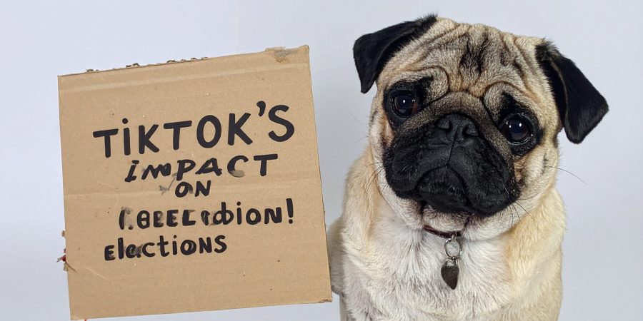 Firefly_-El impacto de TikTok en las elecciones globales- 851458
